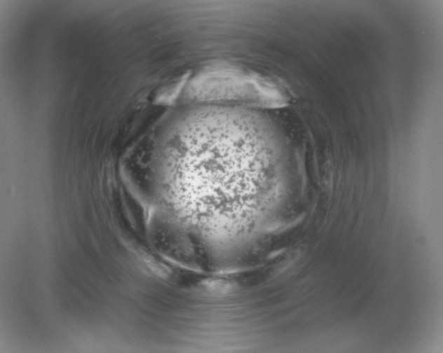 X0000082170272200702021734