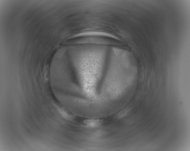 X0000082170273200702021734