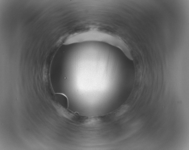 X0000082170274200702021734