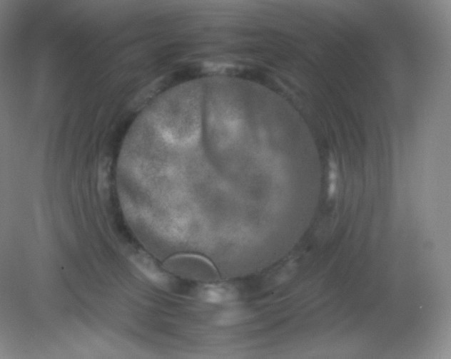 X0000082170275200702021734