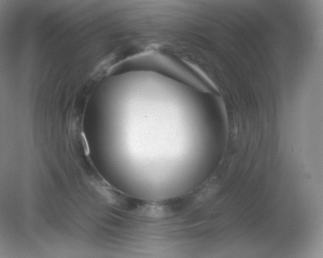 X0000082170276200702021734