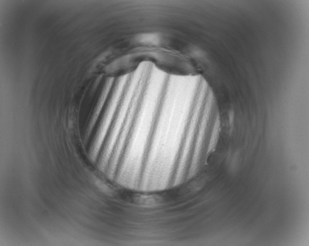 X0000082170277200702021734