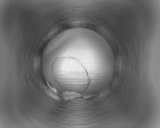 X0000082170278200702021734