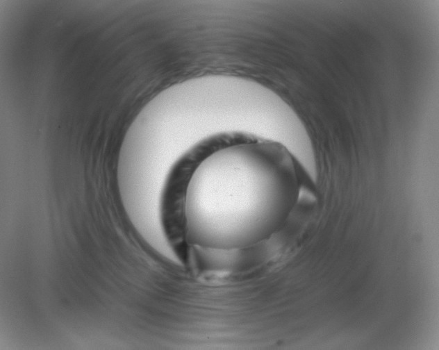 X0000082170280200702021734