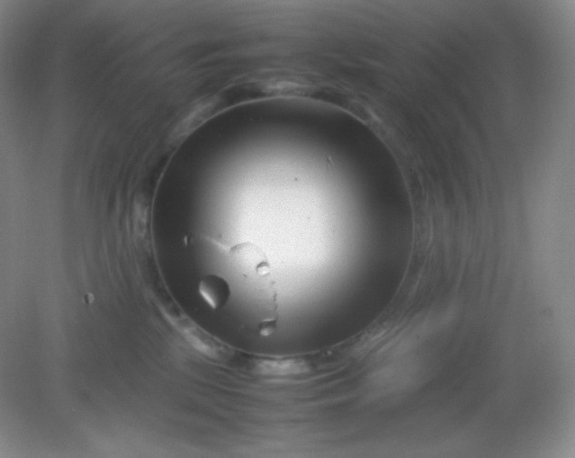 X0000082170281200702021734