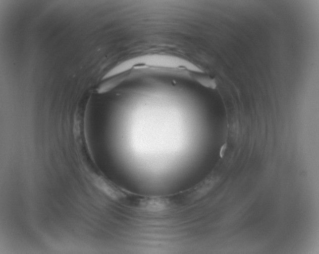 X0000082170282200702021734