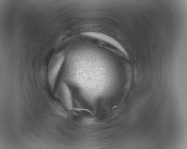 X0000082170283200702021734