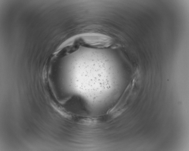 X0000082170284200702021734