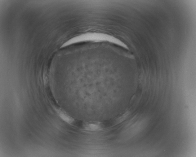 X0000082170285200702021734