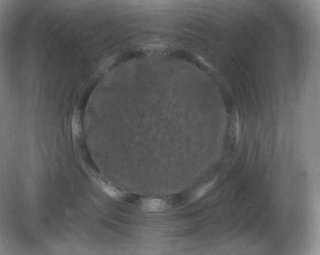 X0000082170287200702021734