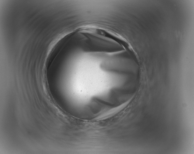 X0000082170289200702021734