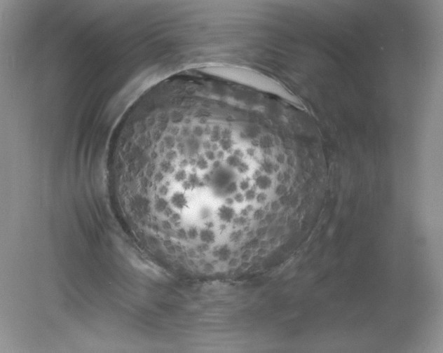 X0000082170290200702021734