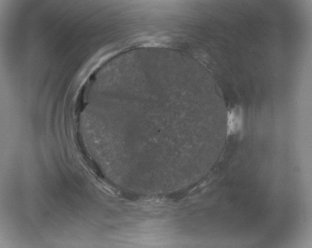 X0000082170291200702021734