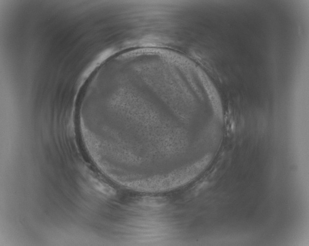 X0000082170292200702021734