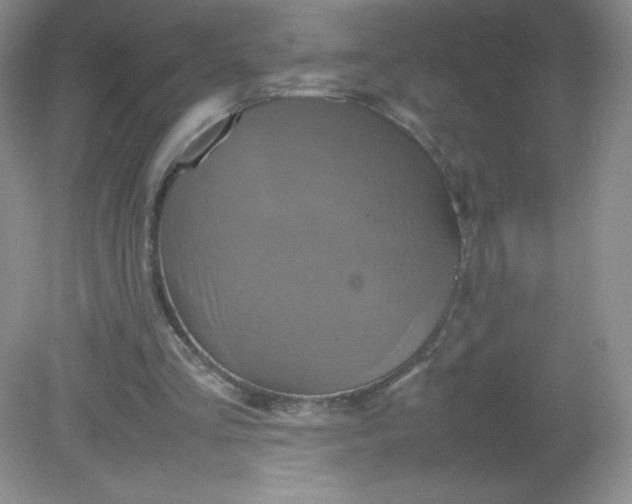 X0000082170293200702021734