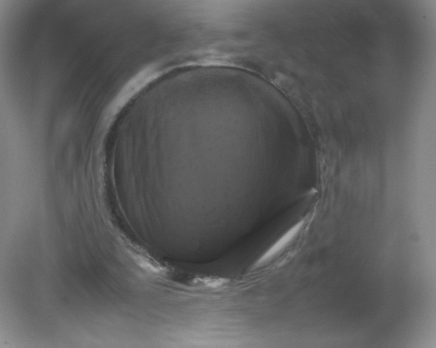 X0000082170295200702021734