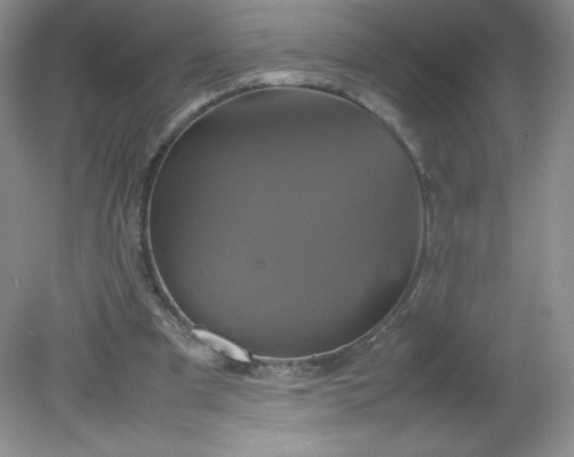 X0000082170297200702021734