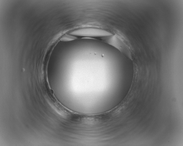 X0000082170298200702021733