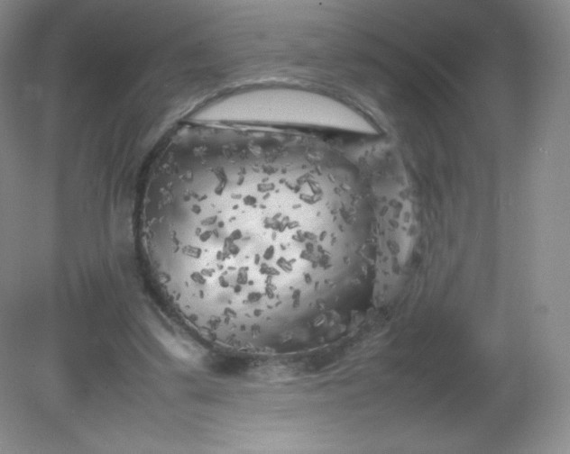 X0000082170299200702021733