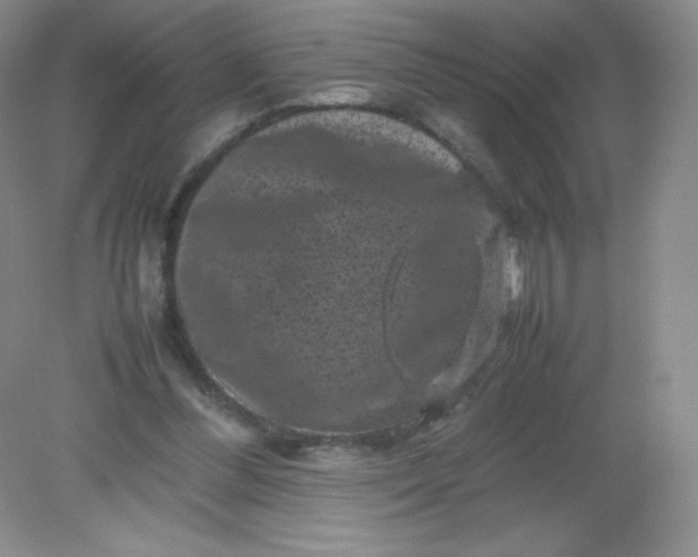 X0000082170300200702021733