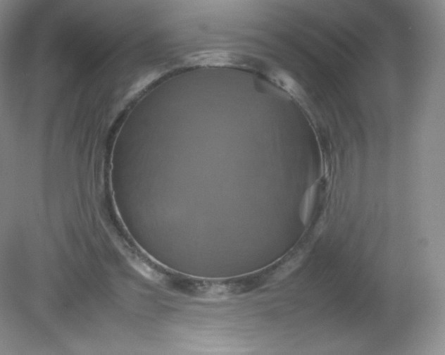 X0000082170301200702021733