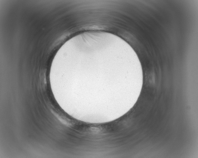 X0000082170302200702021733