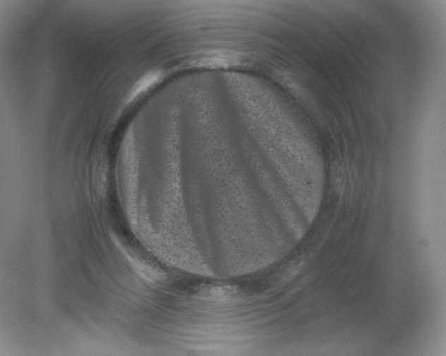 X0000082170304200702021733