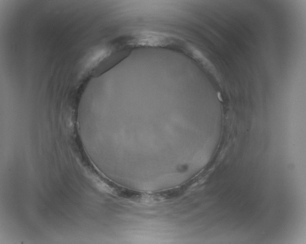 X0000082170305200702021733