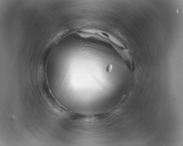 X0000082170306200702021733