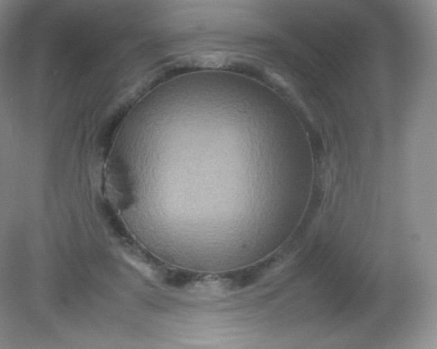 X0000082170307200702021733