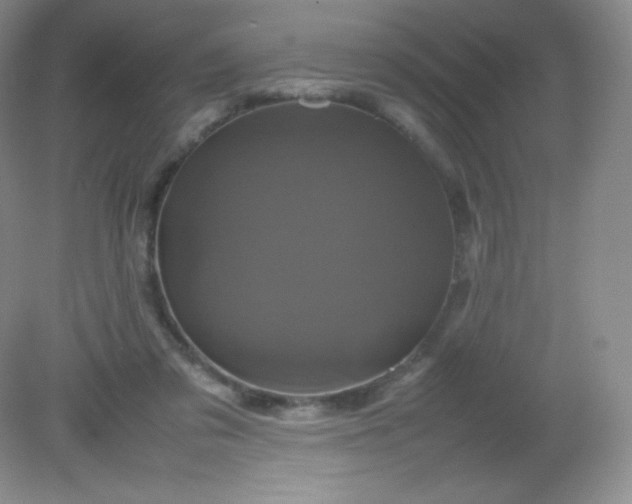 X0000082170309200702021733