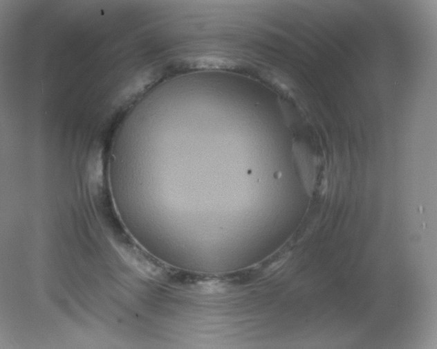 X0000082170310200702021733