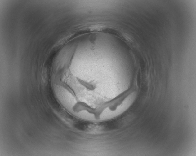 X0000082170311200702021733