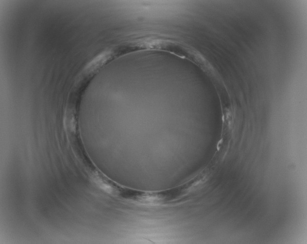 X0000082170313200702021733