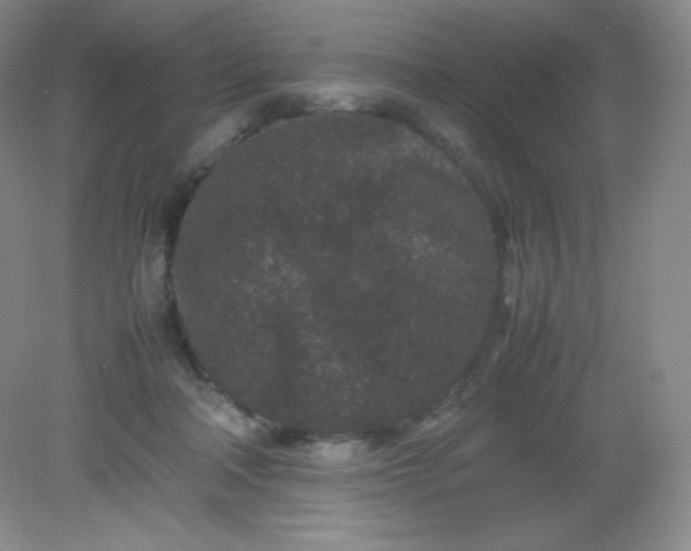 X0000082170314200702021733