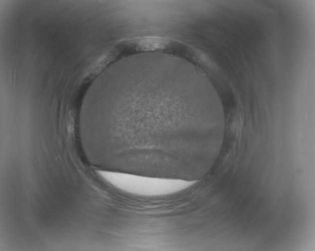 X0000082170315200702021733