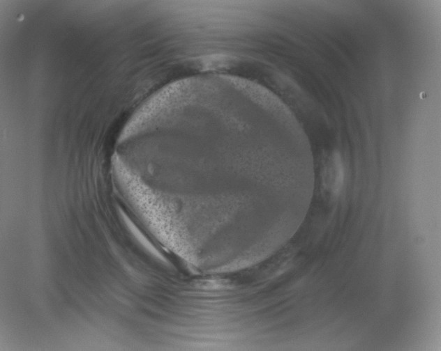 X0000082170316200702021733