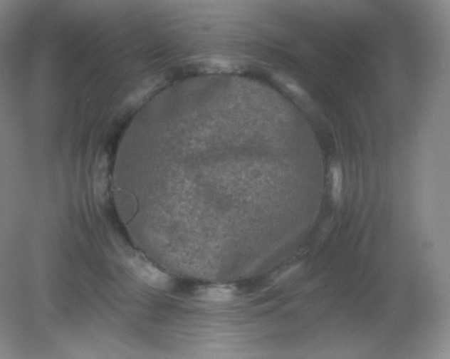 X0000082170318200702021733