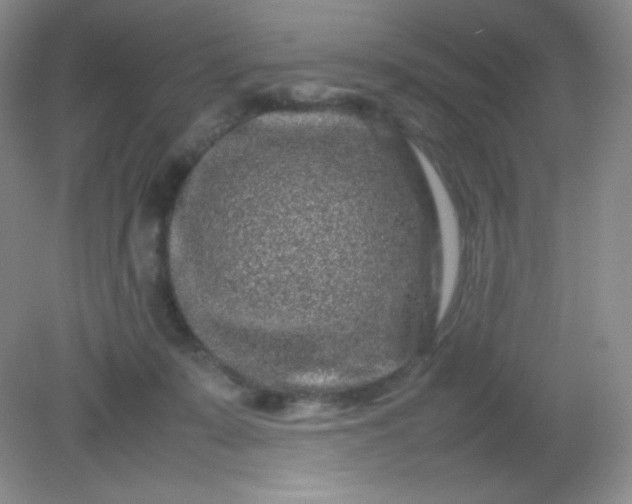 X0000082170319200702021733