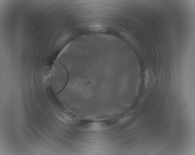 X0000082170320200702021733