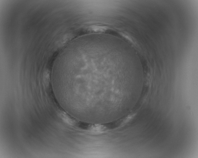 X0000082170321200702021733