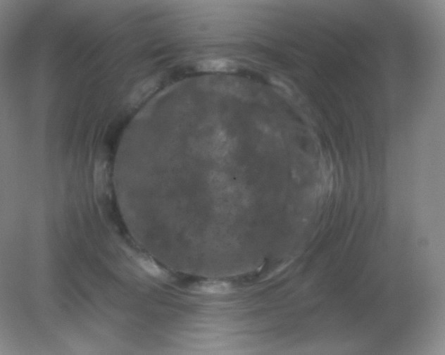 X0000082170322200702021733