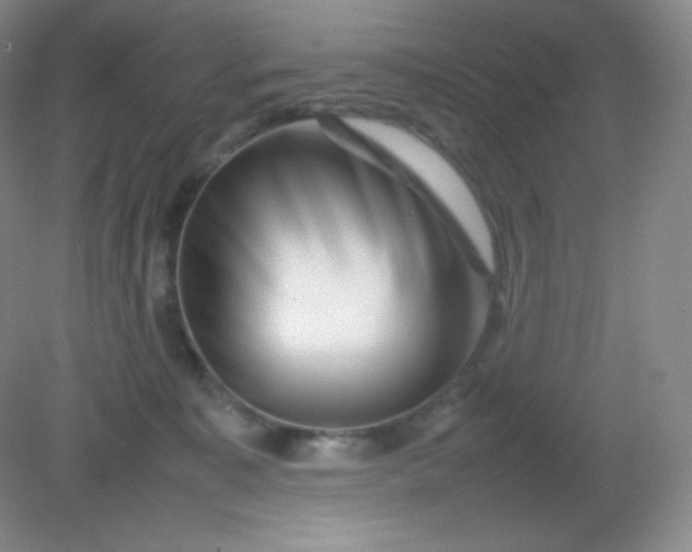 X0000082170323200702021733