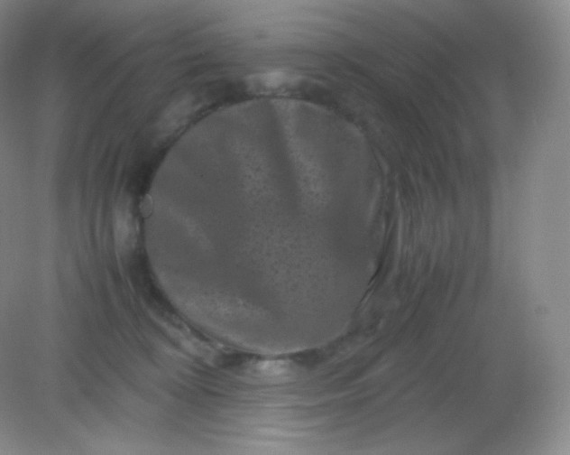 X0000082170324200702021733