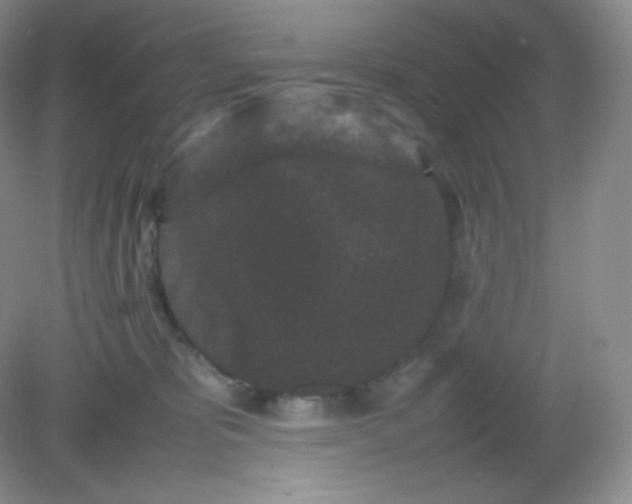 X0000082170325200702021733