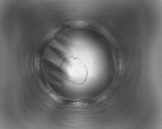 X0000082170326200702021733