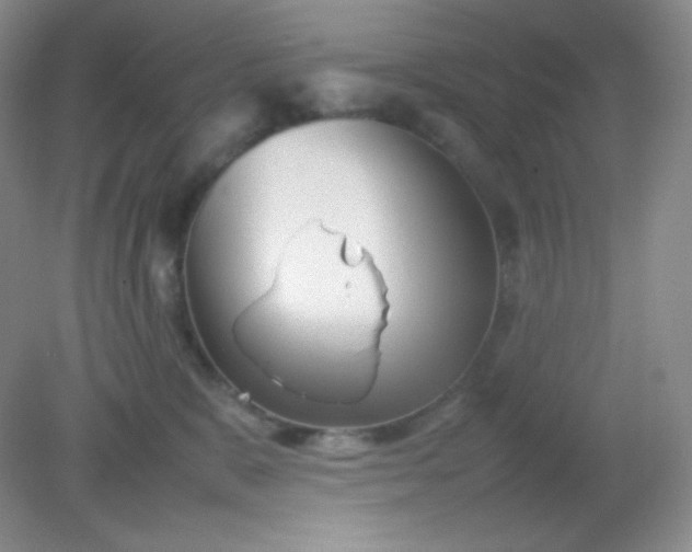 X0000082170327200702021733