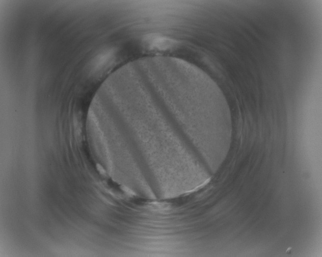 X0000082170328200702021733