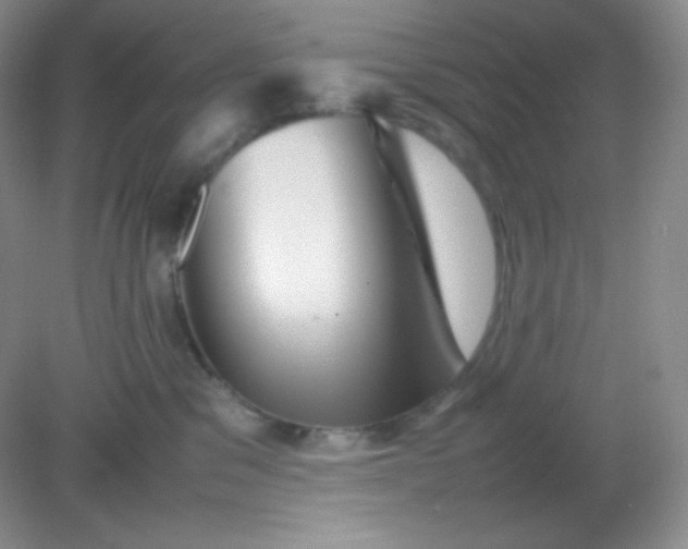 X0000082170329200702021733