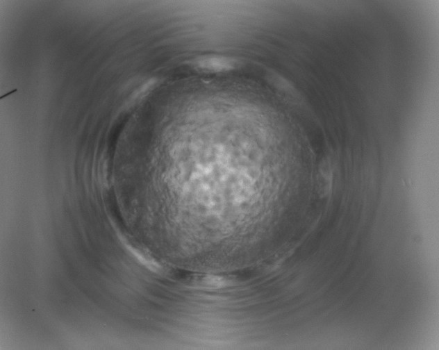 X0000082170330200702021733